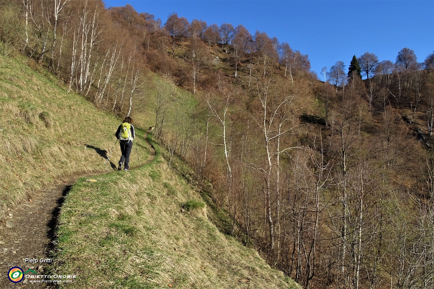 20 Salendo alla Bocchetta di Redondello.JPG